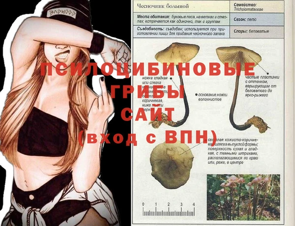 a pvp Арсеньев