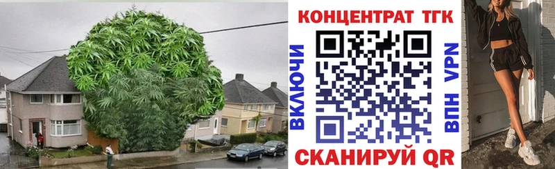 KRAKEN как зайти  Порхов  Дистиллят ТГК гашишное масло 
